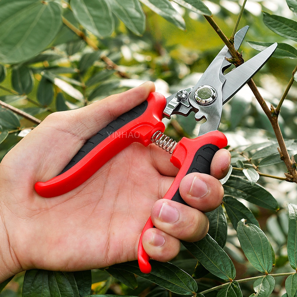 Stainless Steel Plant Cutting Tools Manual Garden 2.jpg