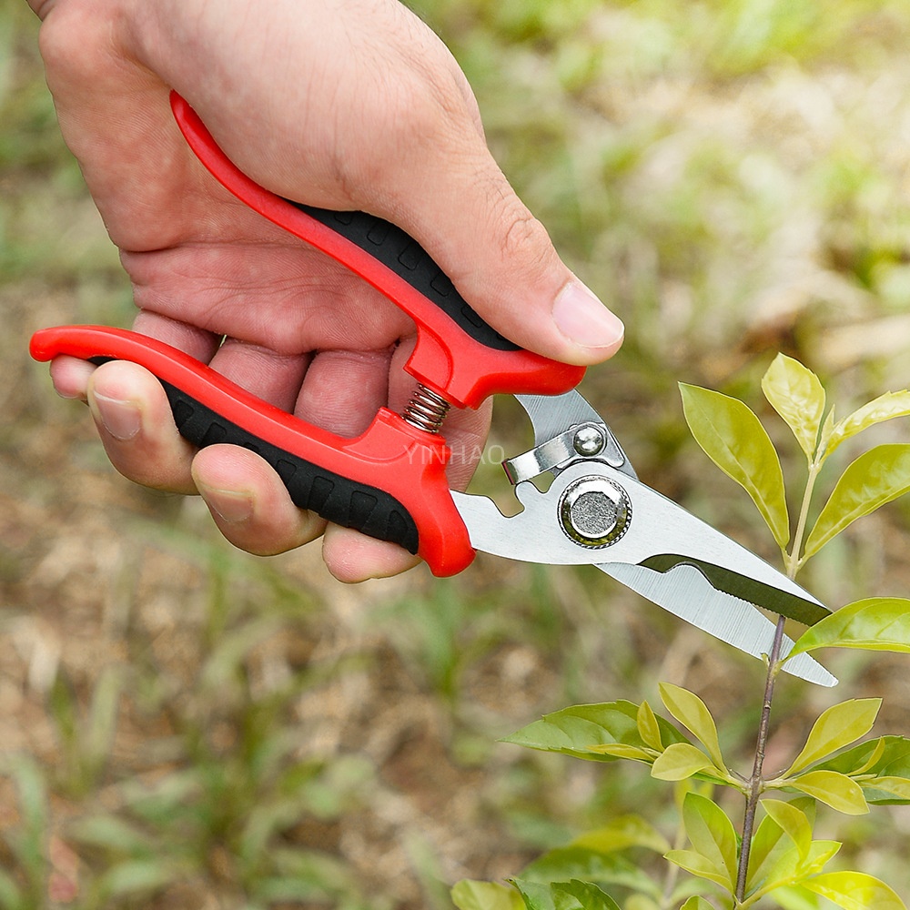 Stainless Steel Plant Cutting Tools Manual Garden 3.jpg